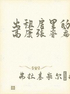 出租房里的交互高康张睿篇