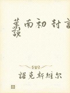 叶南初 封言小说