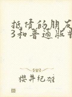 抵债的朋友麦子3和普通版对比