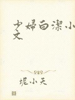 少妇白洁小说全文