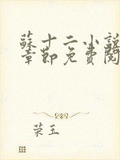 苏十二小说最新章节免费阅读