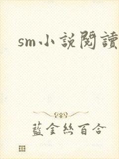 sm小说阅读
