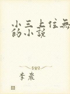 小三上位无三观的小说