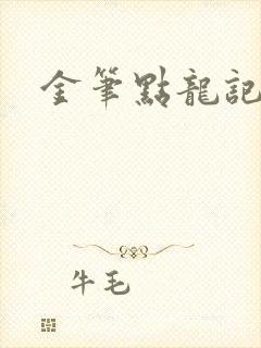金笔点龙记