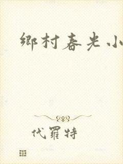 乡村春光小说