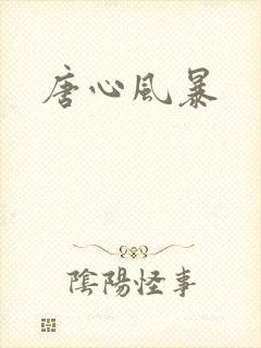 唐心风暴