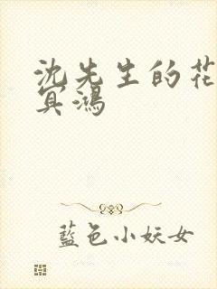 沈先生的花式调冥鸿