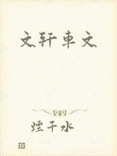 文轩车文