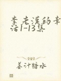 李老汉的幸福生活1-13集