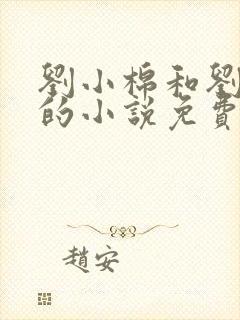 刘小棉和刘易文的小说免费阅读