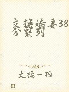 交换娇妻38部分系列