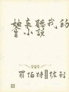 她来听我的演唱会小说