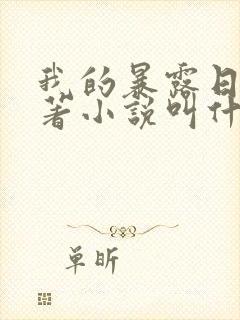 我的暴露日记原著小说叫什么