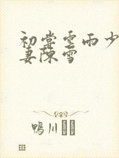 初尝云雨少妇人妻陈雪