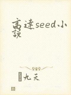高达seed小说