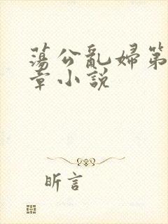 荡公乱妇第51章小说