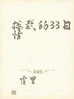 总裁的33日索情