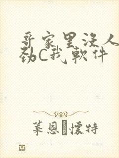 哥家里没人使点劲C我软件