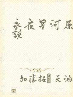 永夜星河原著小说