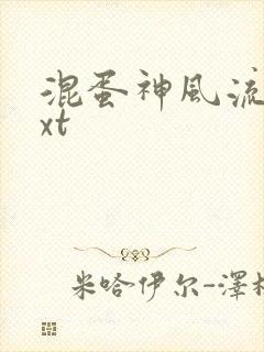 混蛋神风流史txt