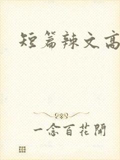 短篇辣文高h