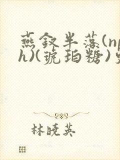 燕钗半落(nph)(琥珀糖)更新