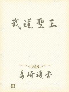武道圣王