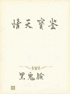 情天宝鉴