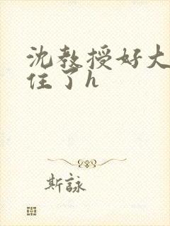 沈教授好大含不住了h