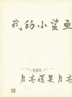 我的小鲨鱼
