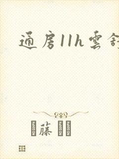 通房11h云舒