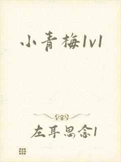 小青梅1v1