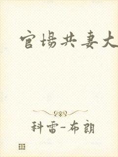 官场共妻大交换