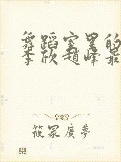 舞蹈室里的景色李欣赵峰最新章节