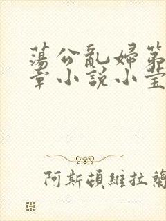 荡公乱妇第51章小说小莹