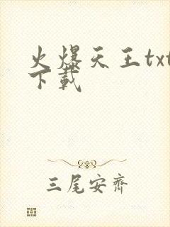 火爆天王txt下载