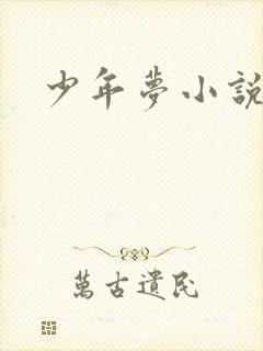 少年梦小说