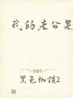 我的老公是冥王