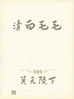 清白毛毛