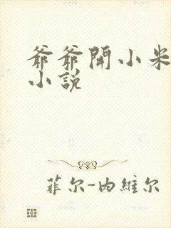 爷爷开小米的包小说