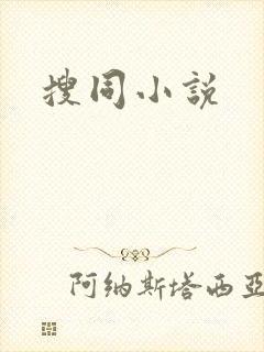 搜同小说