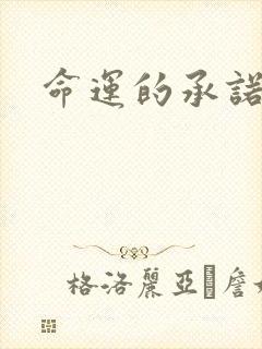 命运的承诺
