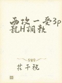 两攻一受3p双龙H调教