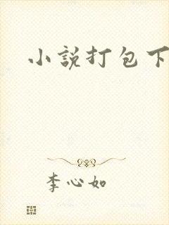 小说打包下载