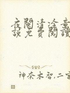 夜阑清冷意欢小说免费阅读