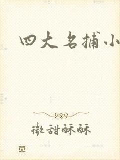 四大名捕小说