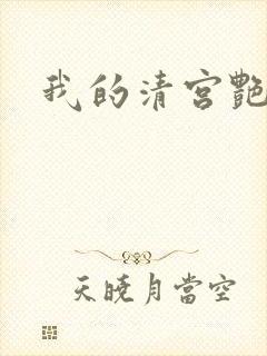 我的清宫艳史