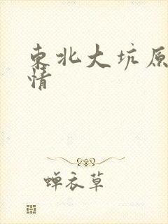 东北大坑原始激情