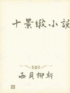 十景缎小说