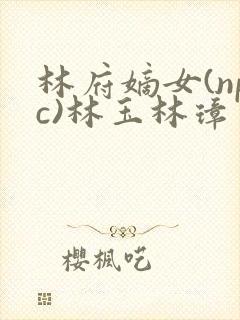 林府嫡女(npc)林玉林璋